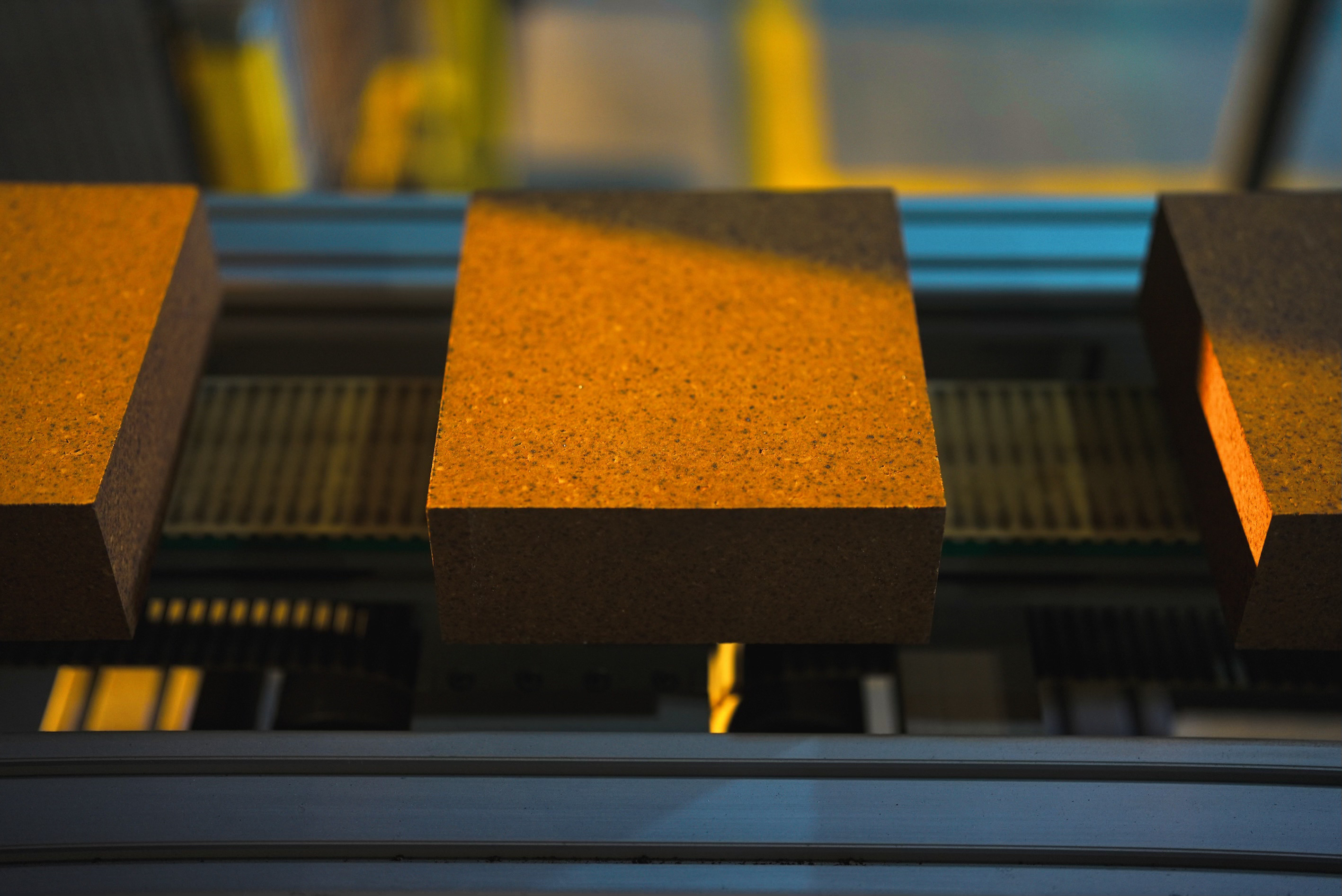 Photo of rows of books in a library with marble busts.